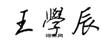 王正良王学辰行书个性签名怎么写