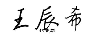 王正良王辰希行书个性签名怎么写