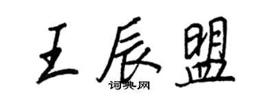 王正良王辰盟行书个性签名怎么写