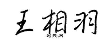 王正良王相羽行书个性签名怎么写