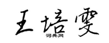 王正良王培雯行书个性签名怎么写