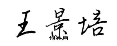 王正良王景培行书个性签名怎么写