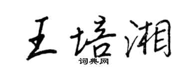 王正良王培湘行书个性签名怎么写