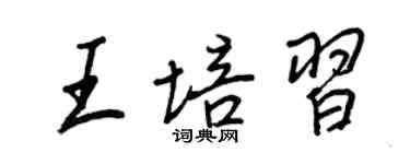 王正良王培习行书个性签名怎么写