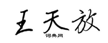 王正良王天放行书个性签名怎么写