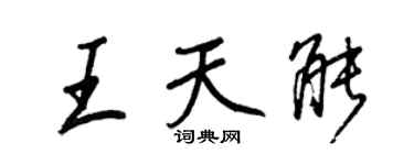 王正良王天能行书个性签名怎么写