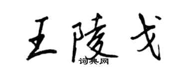 王正良王陵戈行书个性签名怎么写