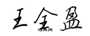 王正良王全盈行书个性签名怎么写