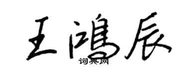 王正良王鸿辰行书个性签名怎么写