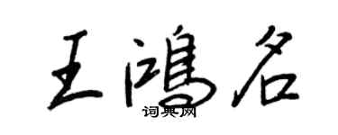 王正良王鸿名行书个性签名怎么写