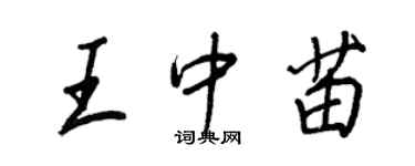 王正良王中苗行书个性签名怎么写