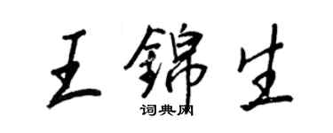 王正良王锦生行书个性签名怎么写