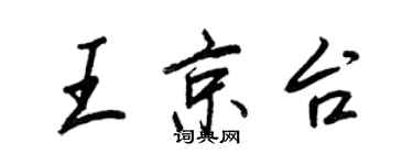 王正良王京台行书个性签名怎么写
