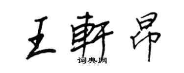 王正良王轩昂行书个性签名怎么写