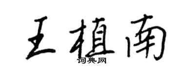 王正良王植南行书个性签名怎么写