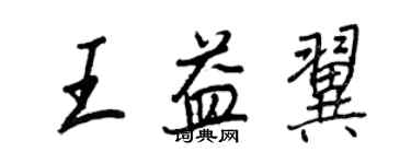 王正良王益翼行书个性签名怎么写