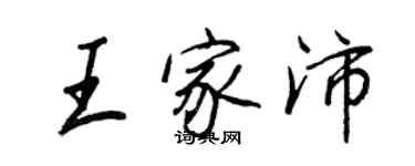王正良王家沛行书个性签名怎么写