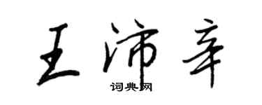 王正良王沛辛行书个性签名怎么写