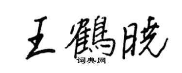 王正良王鹤晓行书个性签名怎么写