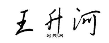 王正良王升河行书个性签名怎么写