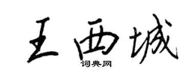 王正良王西城行书个性签名怎么写