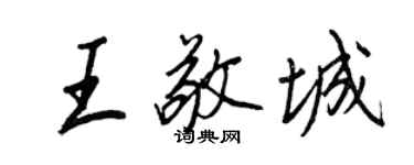王正良王敬城行书个性签名怎么写