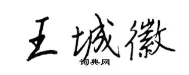王正良王城徽行书个性签名怎么写