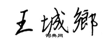 王正良王城乡行书个性签名怎么写