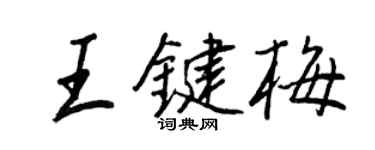 王正良王键梅行书个性签名怎么写