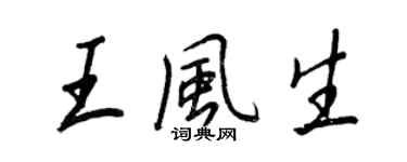 王正良王风生行书个性签名怎么写