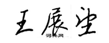 王正良王展望行书个性签名怎么写