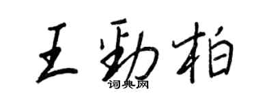 王正良王劲柏行书个性签名怎么写