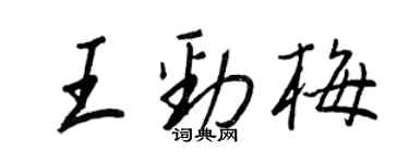 王正良王劲梅行书个性签名怎么写