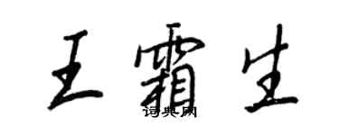 王正良王霜生行书个性签名怎么写