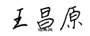 王正良王昌原行书个性签名怎么写