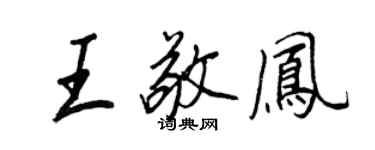 王正良王敬凤行书个性签名怎么写