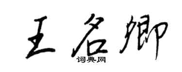 王正良王名卿行书个性签名怎么写