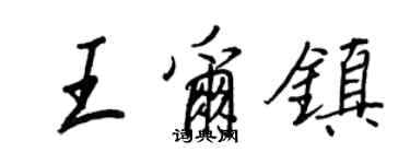 王正良王尔镇行书个性签名怎么写