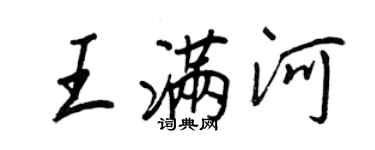 王正良王满河行书个性签名怎么写