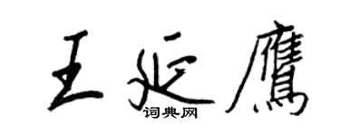 王正良王延鹰行书个性签名怎么写