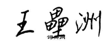 王正良王垒洲行书个性签名怎么写