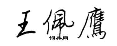 王正良王佩鹰行书个性签名怎么写