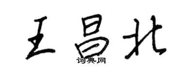 王正良王昌北行书个性签名怎么写