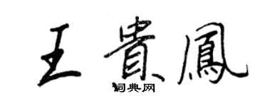 王正良王贵凤行书个性签名怎么写