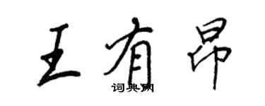 王正良王有昂行书个性签名怎么写