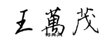王正良王万茂行书个性签名怎么写