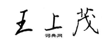 王正良王上茂行书个性签名怎么写