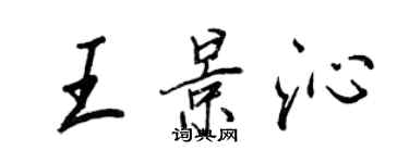 王正良王景沁行书个性签名怎么写