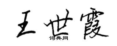 王正良王世霞行书个性签名怎么写