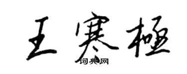 王正良王寒极行书个性签名怎么写